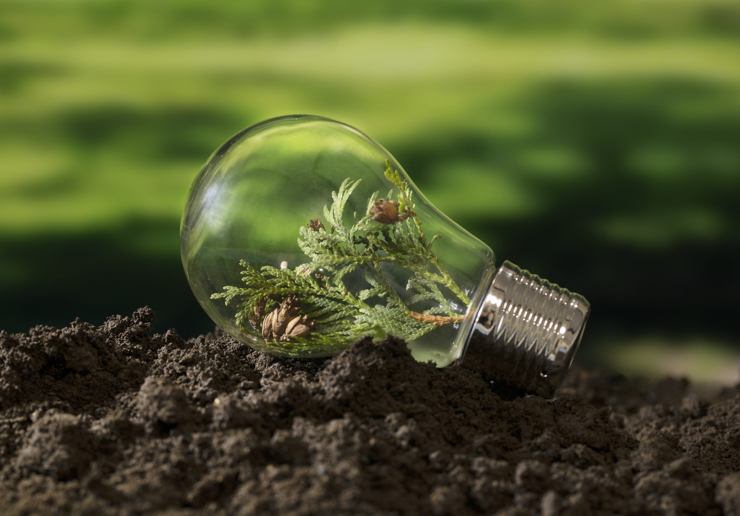 Energy & Natural Resources